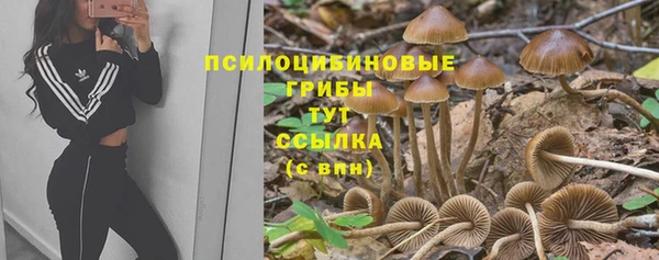синтетический гашиш Богданович