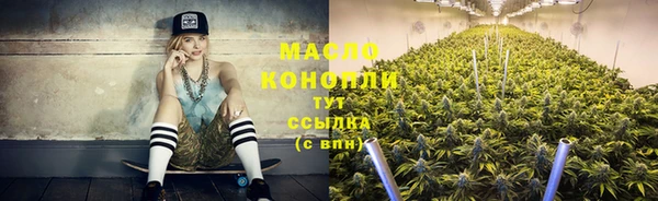 бошки Бронницы